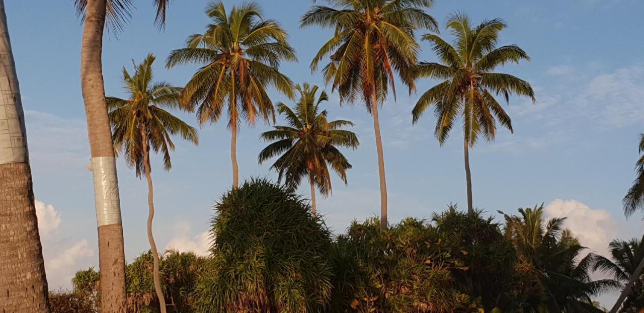 Fuvahmulah Inn Екстер'єр фото